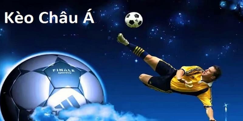 Nguyên do mọi người dùng nên thử đặt cược tại ww88