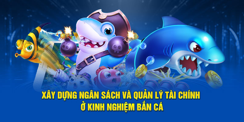 Xây dựng ngân sách và quản lý tài chính ở kinh nghiệm bắn cá